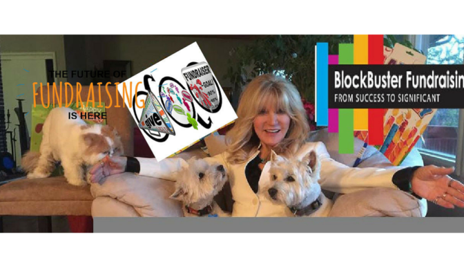 Non Profit Fundraising