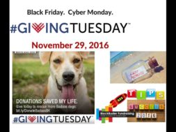 #GIVINGTUESDAY Best Last Minute Tips