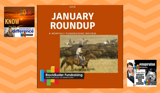 Final Round-Up of all January 2018  Goals, Tactics and Fundraising Plan
