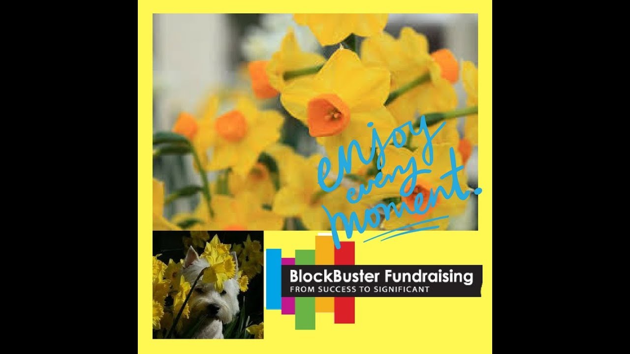 Need Some Creative Ways to Thank Your Donors?